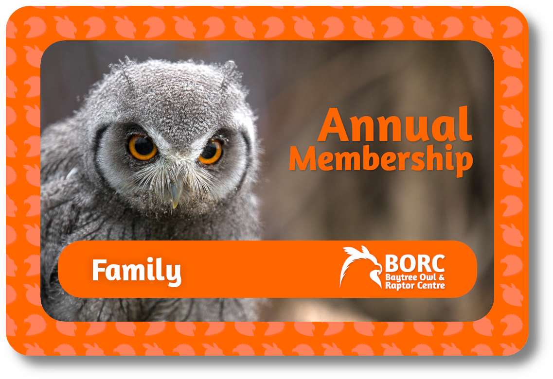 Family Annual Membership