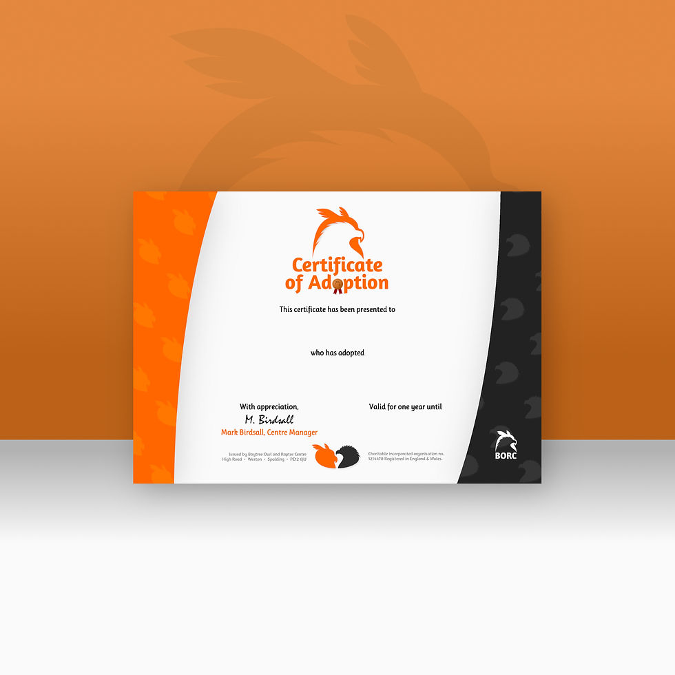 Thumbnail: Loyalty Adoption Package - Migration