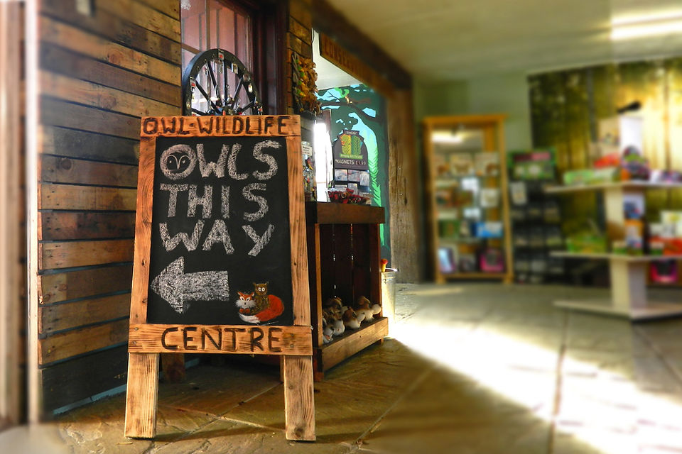 Opening Times and admission prices for Baytree Owl and Wildlife Centre