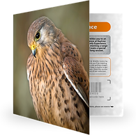 Family Experience Voucher (Gift Card)