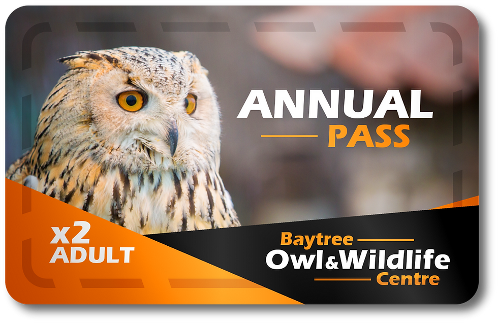 Double Adult Annual Pass