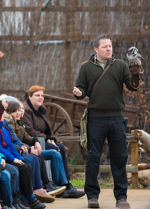 School attending a flying demonstration at Baytree Owl and Wildlife Centre