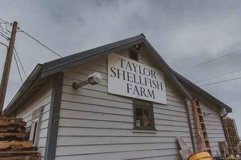 Taylor Shellfish Farm Sign Skagit Washington State