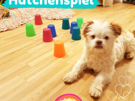 Hütchenspiel | Geschicklichkeitsspiel für gelangweilte Hunde selber basteln