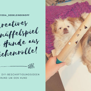 Geschicklichkeitsspiel aus Fusselrolle