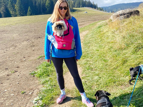 Hunderucksack I Komfortales Wandern mit Hund