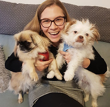 Yoda-Freddy-Frauli-Vanessa-Hundeblogger-München-Petfluencer-itsfabulous-DIY.jpeg
