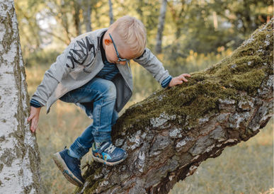 Junge mit Brille und Sweater klettert auf einem Baumstamm im Wald