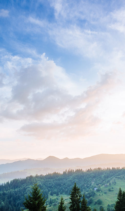 A landscape depicting the fresh air of the mountains and forests as a symbol of the importance of air in balancing temperaments in the medicine of humors.