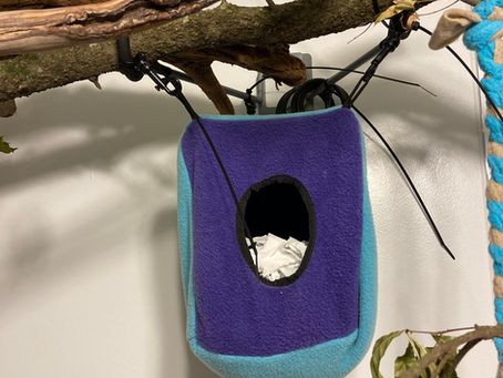 Nest Building At Its Finest