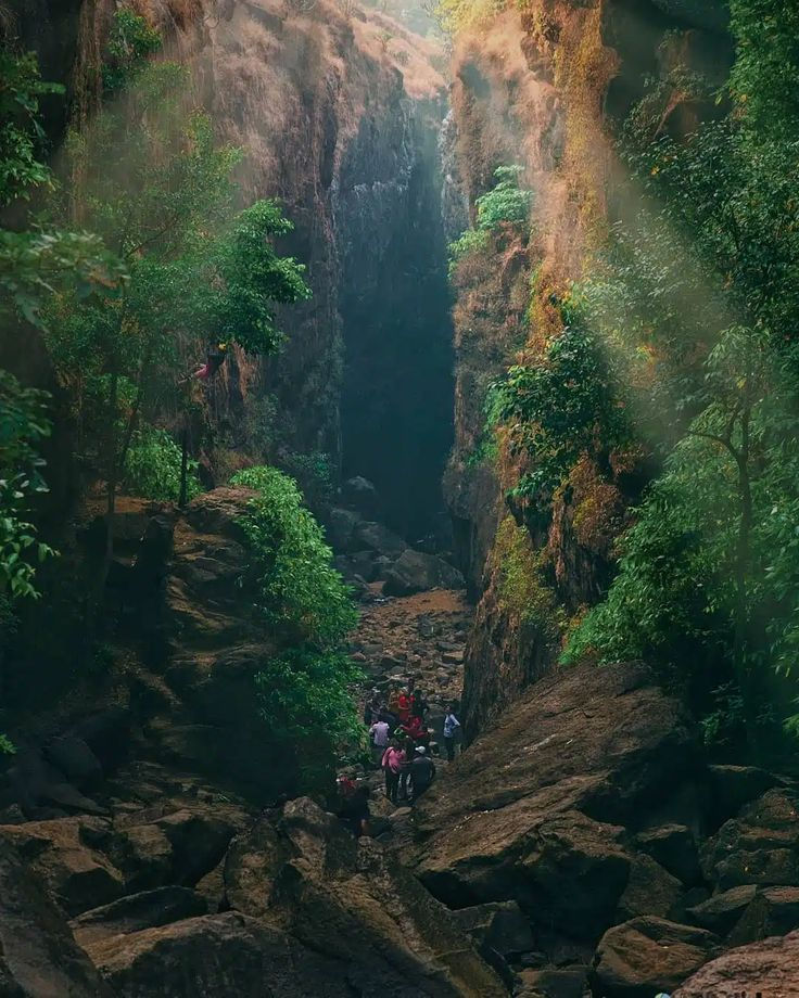 Eye-level view of lush green Sahyadri hills with mist
