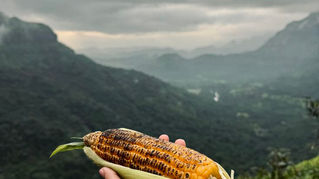 Farm Stay Near Pune