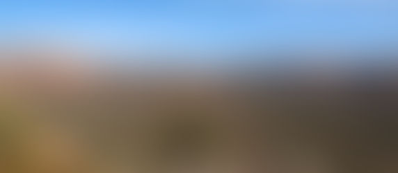 לא רק הגרנד קניון - טיול מקיף באריזונה