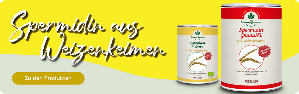 Bruno-Zimmer_Slider_1808x563px_Spermidin.png