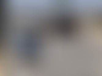 Mother of 7, organizer of attacked group of children, detained in Ariel