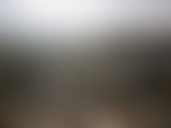 Court ruled against the State, border policeman is victim of terror