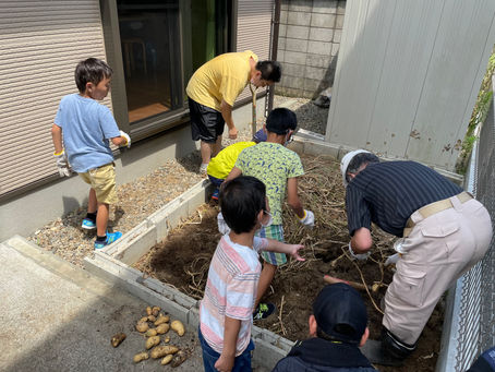 じゃがいもほり