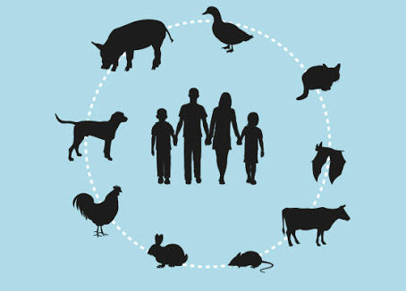 In the midst of a zoonosis - can we prevent it from happening again?