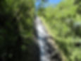 What's The Best Time To Hike Manoa Falls?