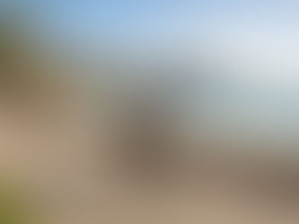 Electric Bike vs. Traditional Bike: What’s Better for Exploring Waikiki?