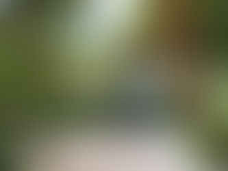 Bike Trails With Bike Rentals Near Me