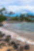 wailea law firm.jpg