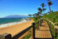 wailea law lllc.jpg
