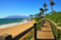 wailea law lllc.jpg