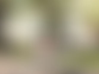 A Guide to Choosing the Best E-Bike Rental Near Me in Waikiki