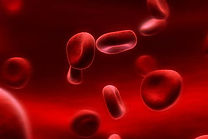 red blood cells.jfif