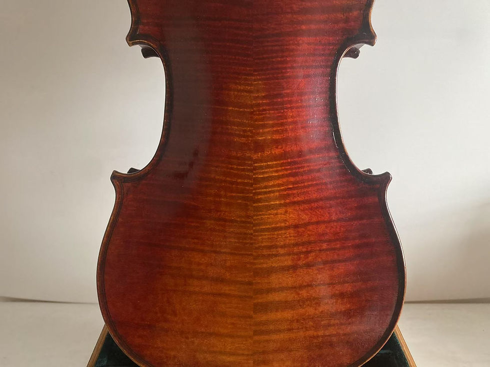 Thumbnail: Advanced 5 strings Violin,Good sound Stradi Model flamed maple back spruce top