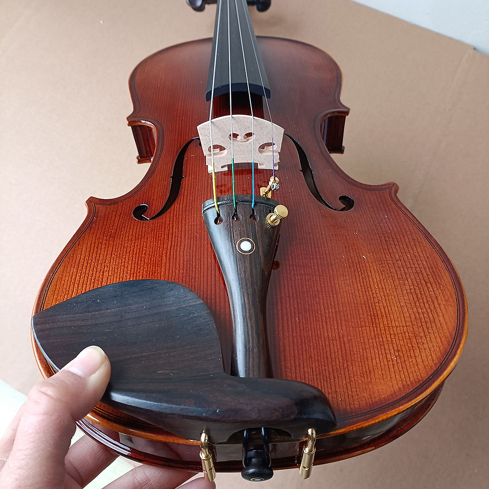 Thumbnail: Violin enlarged close up view
