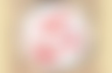 瀬戸内国際芸術祭ワークショップのお知らせ