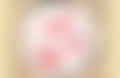 瀬戸内国際芸術祭ワークショップのお知らせ