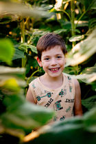 Kisfiú a napraforgó mező levelei között