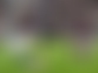 Hibs are still waiting to spark into life