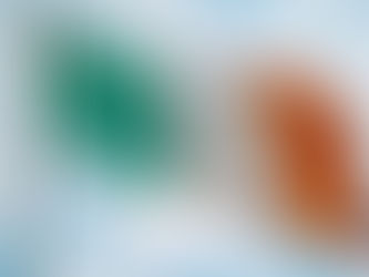 Edward was the flag bearer