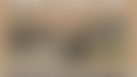 A veritable treasure trove of history and heritage