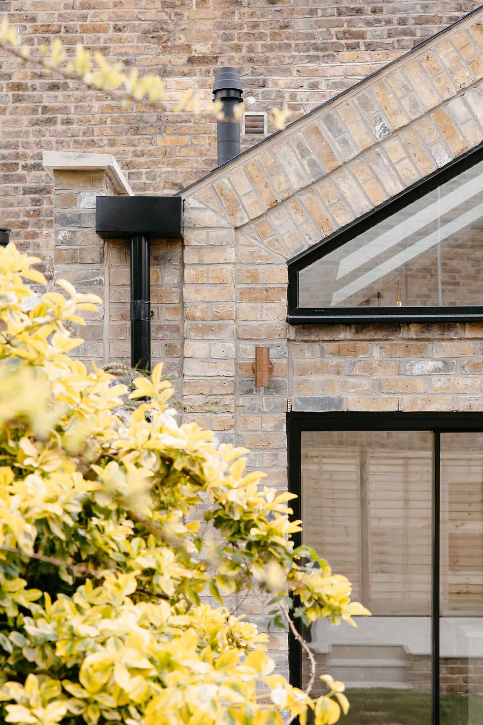 A view of the rear of a Golden Triangle Architects extension taken through the garden foliage.