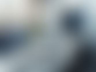 Pregão eletrônico e IA: o uso de algoritmos na fase de lances