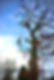 Joe_Sivers-07.jpeg