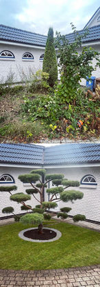Gartengestaltung
