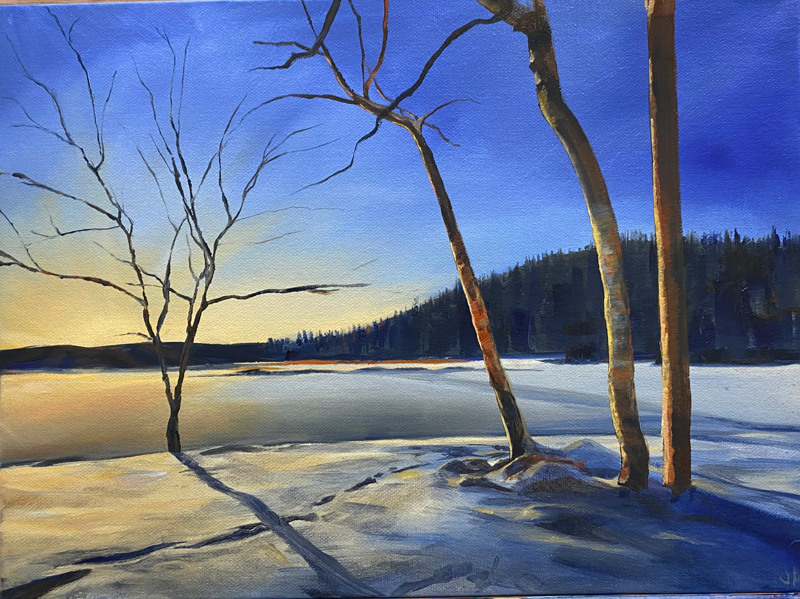 Winter light - oil on canvas A3