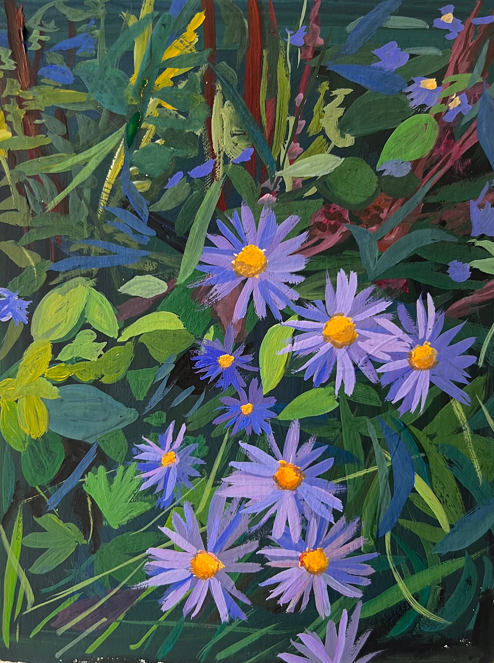 Asters by the pond 