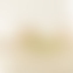 3 Ways to Start Your Virtual Assistant Business ASAP!