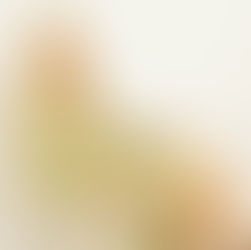 Hiring a Virtual Assistant Agency: Myths vs. Reality