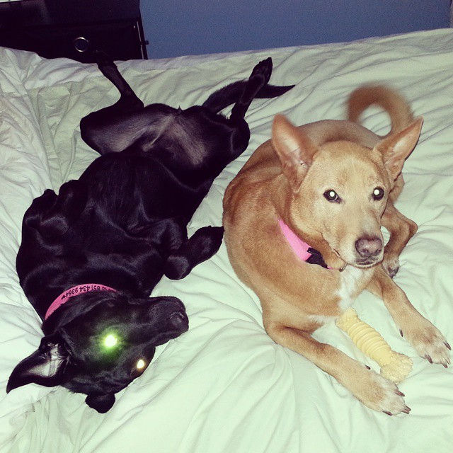 Instagram - Every family has the one weird kid.jpg.jpg.jpg.jpg