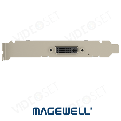 תמונה ממוזערת: 11160 - Magewell Pro Capture DVI 4K