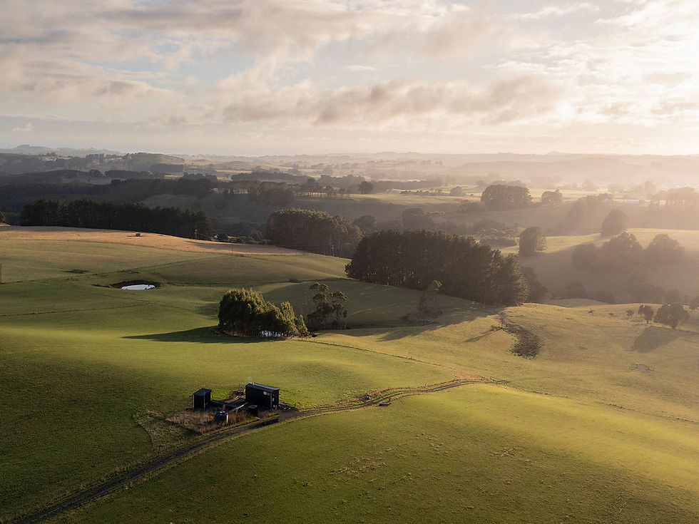 DJI_0598.jpg