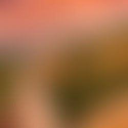 Nueva sección de la Gran Muralla será habilitada en Beijing